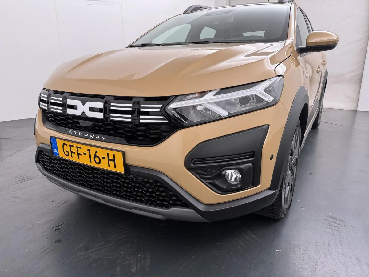 TCe 110 expression | Apple Carplay/Android Auto | Parkeercamera |