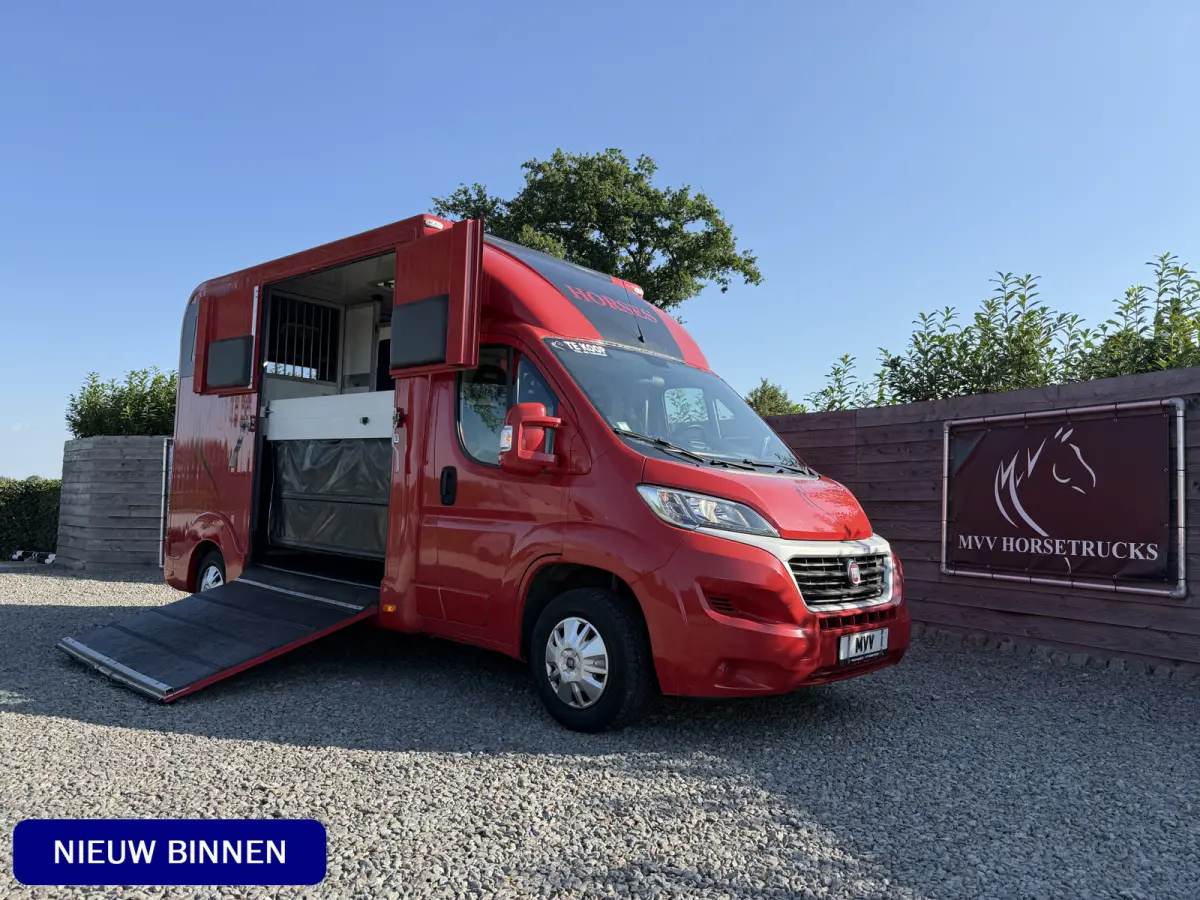 | HORSETRUCK | LR | STALLION 3XL | 2015 | HENGST | 130PK | 129.516KM | L3 | 3-SEAT | MANUEL | NO VAT  | BELGISCH KENTEKEN