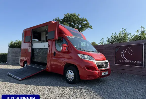 | HORSETRUCK | LR | STALLION 3XL | 2015 | HENGST | 130PK | 129.516KM | L3 | 3-SEAT | MANUEL | NO VAT  | BELGISCH KENTEKEN