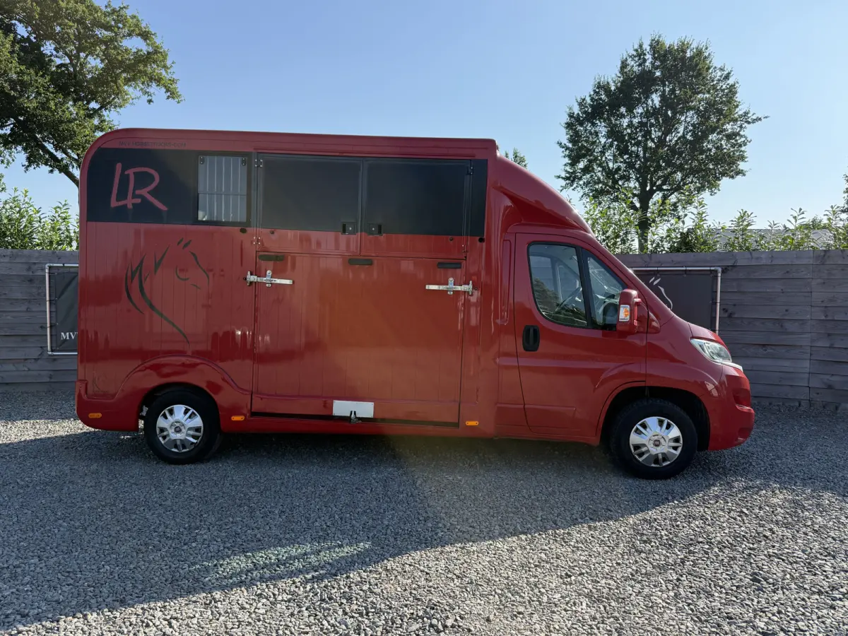 | HORSETRUCK | LR | STALLION 3XL | 2015 | HENGST | 130PK | 129.516KM | L3 | 3-SEAT | MANUEL | NO VAT  | BELGISCH KENTEKEN