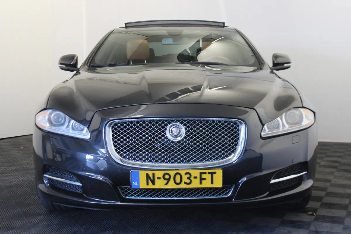 5.0 V8 Portfolio