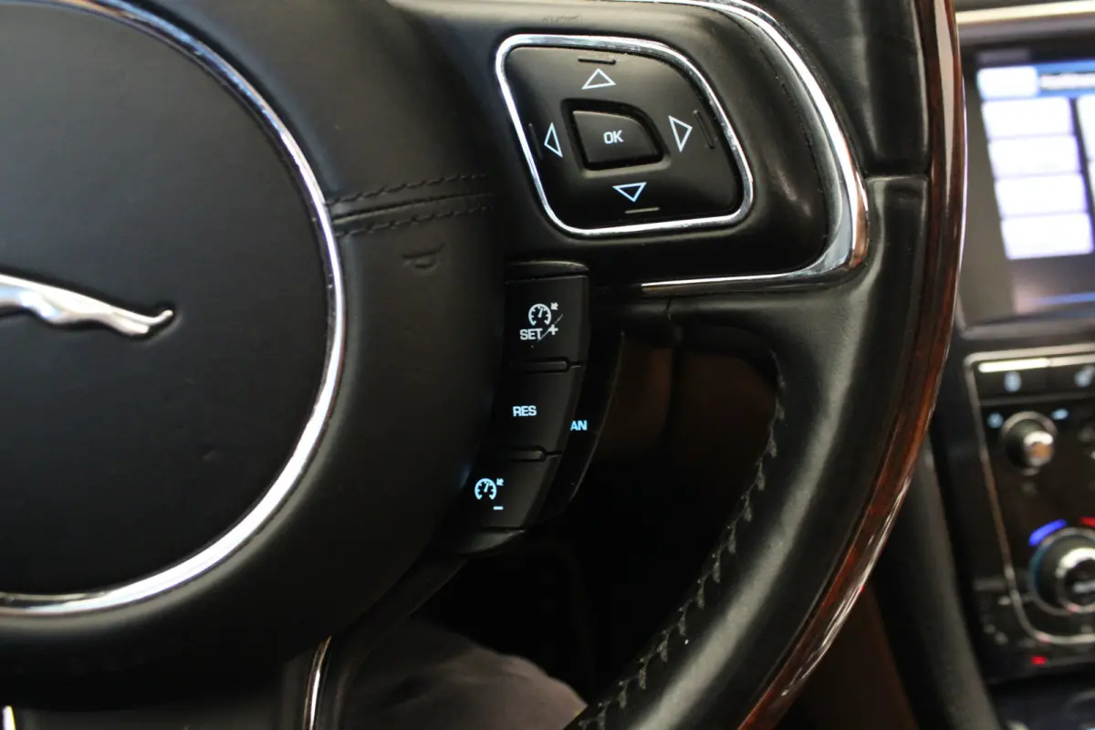 5.0 V8 Portfolio