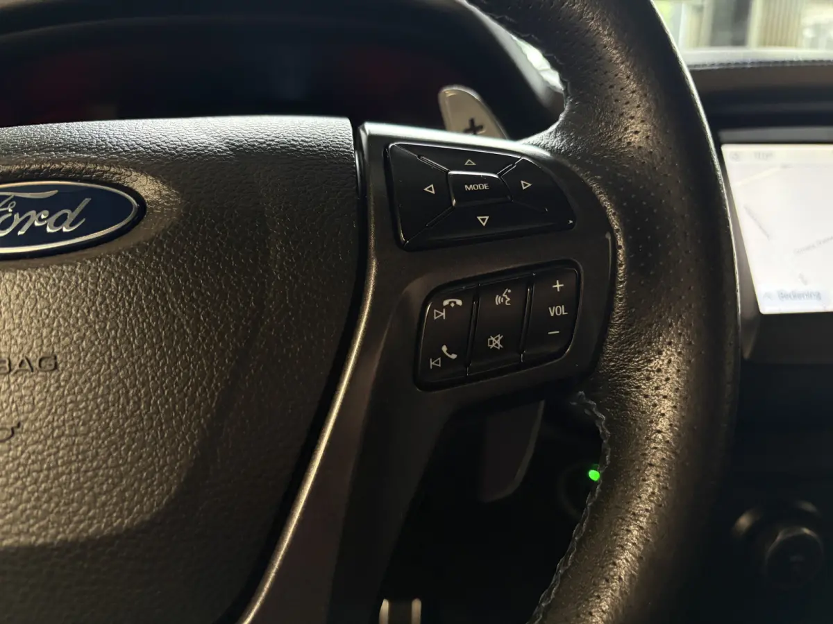 2.0 EcoBlue Raptor Cruise, Camera, Navi, Trekhaak