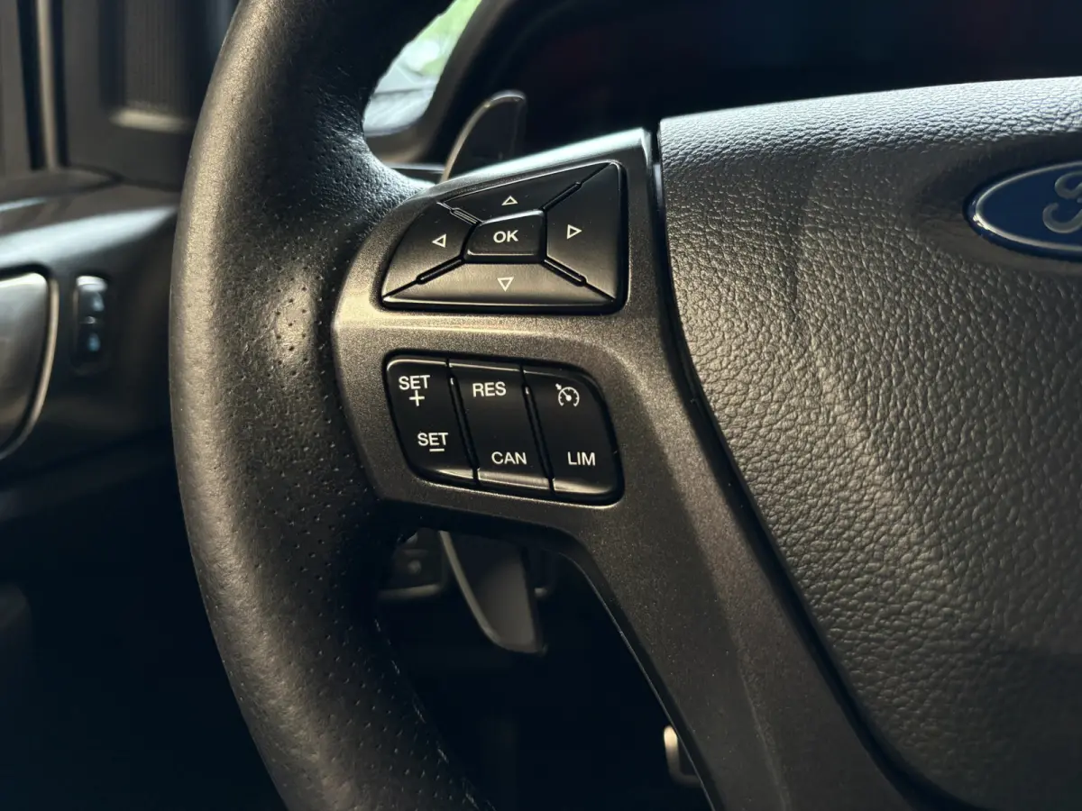 2.0 EcoBlue Raptor Cruise, Camera, Navi, Trekhaak