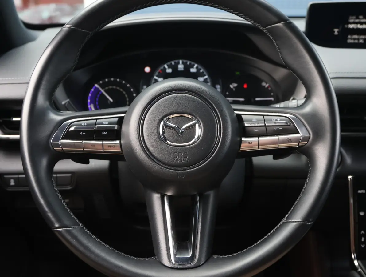 e-SkyActiv EV 145 Advantage 36 kWh Camera | ACCU 95% | Elektrisch verstelbare stoelen | LEER | Stoelverwarming | Navigatie | Climate Control Tweezeidig | Apple CarPlay & Android Auto