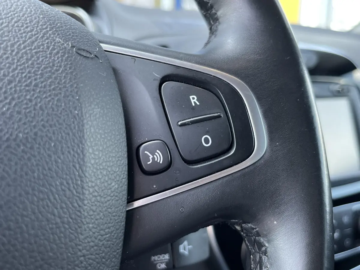 0.9 TCe Bose | Climate Control | Cruise Control | Trekhaak | Achteruitrijcamera | Navigatie |