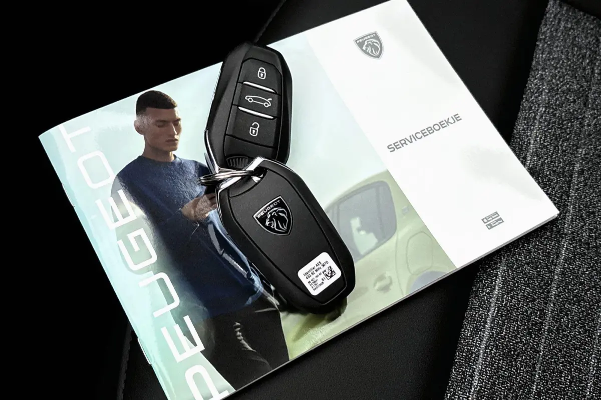 1.6 plug-in Hybrid 195 Allure | Navi | Camera | Trekhaak | Voordeel |