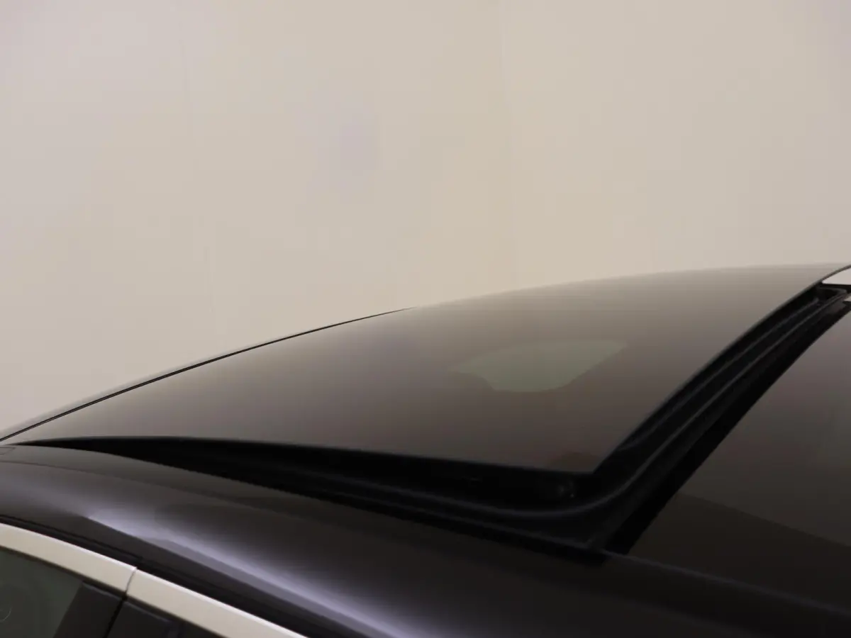 300 e Business Solution AMG / Panoramadak/ 19 inch/ Memory/ Sfeerverlichting