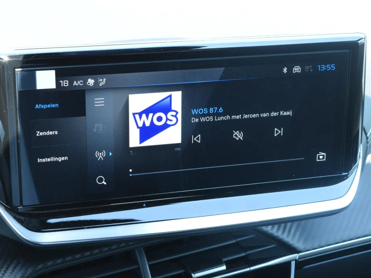 EV GT Avantage 54 kWh Warmtepomp l Alcantara interieur l 360 camera l Navigatie l adaptive cruise control