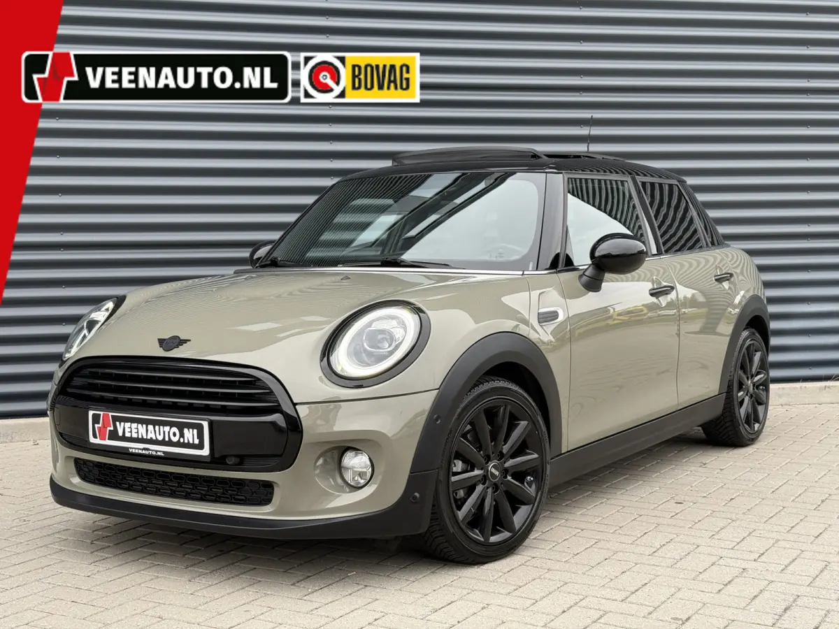 1.5 Cooper Leder/Camera/Panorama dak