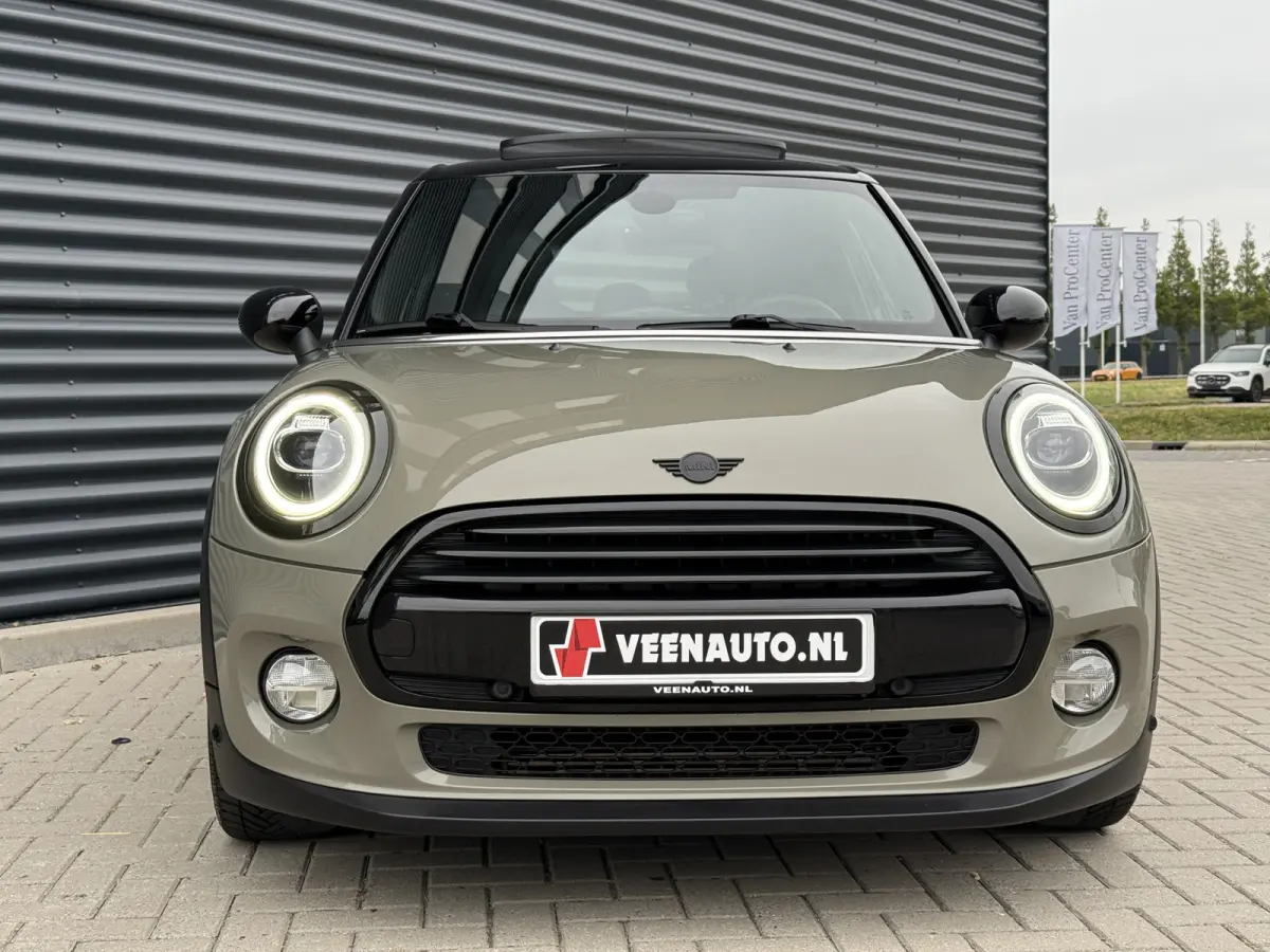 1.5 Cooper Leder/Camera/Panorama dak