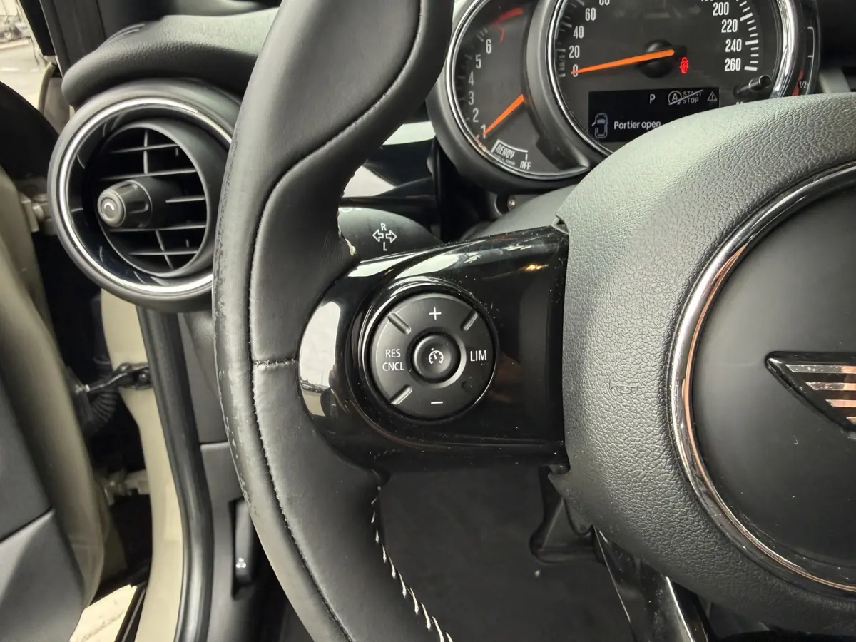 1.5 Cooper Leder/Camera/Panorama dak