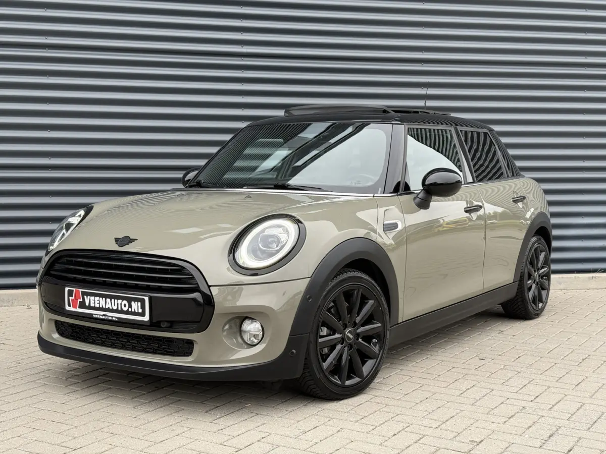 1.5 Cooper Leder/Camera/Panorama dak