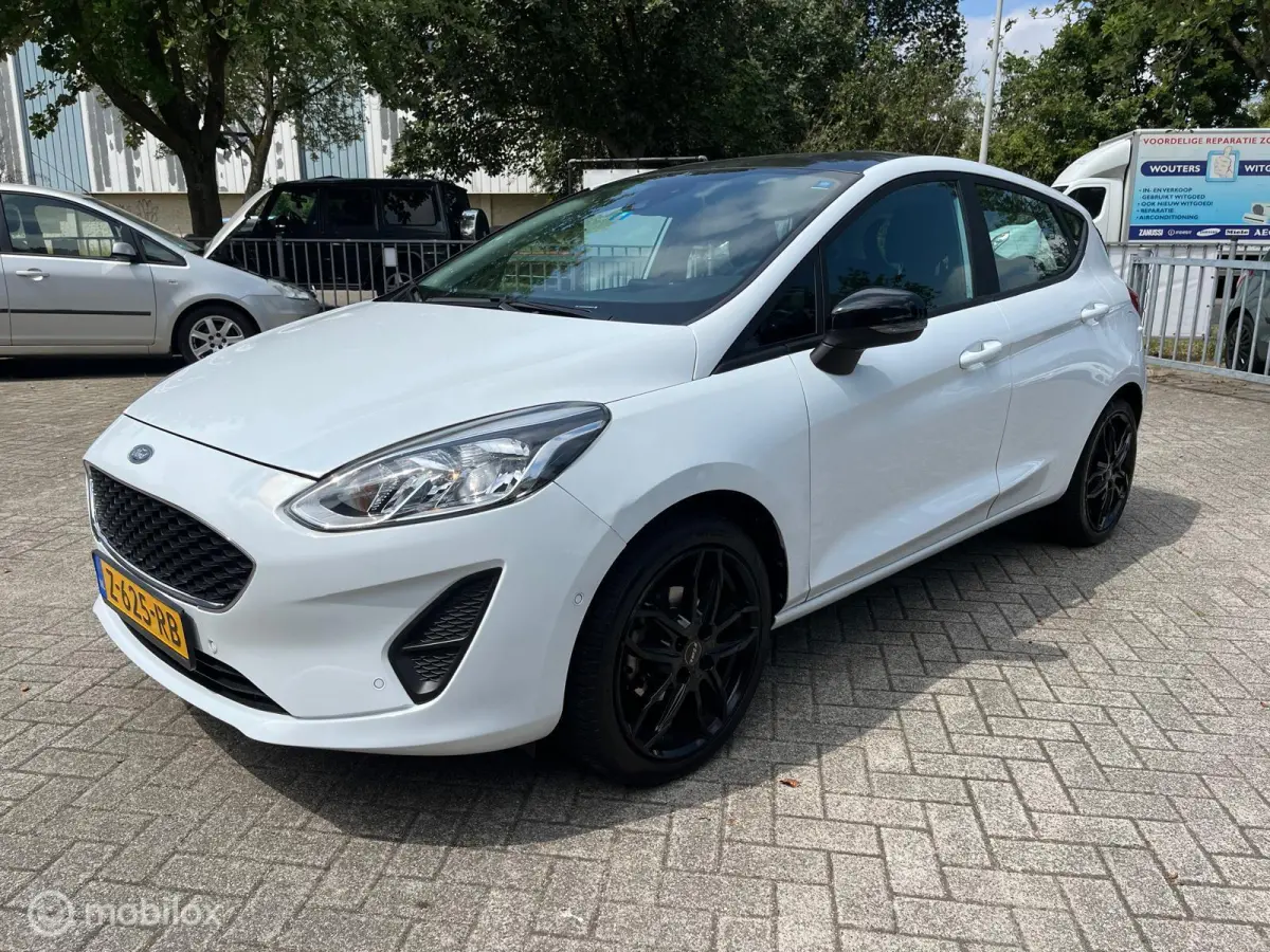 1.1 Black & White Edition