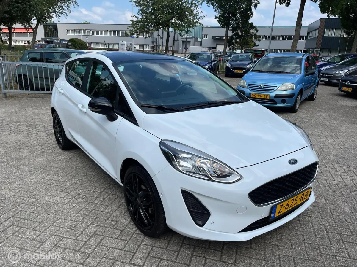 1.1 Black & White Edition