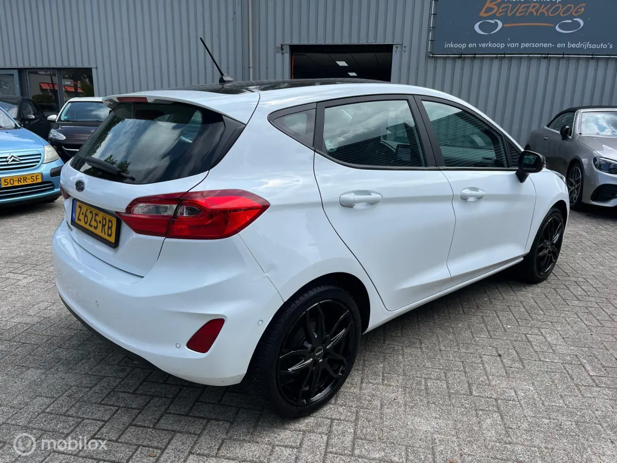1.1 Black & White Edition