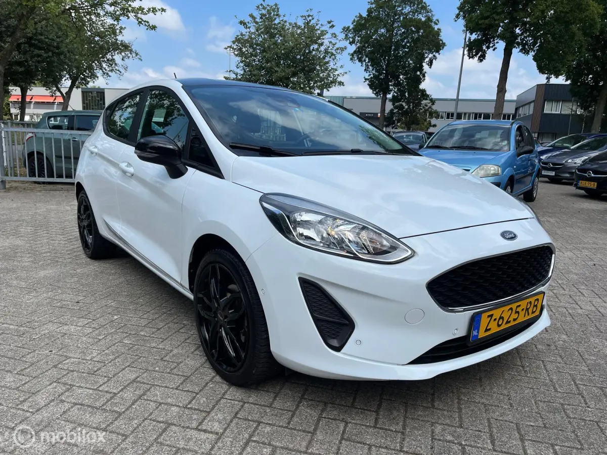 1.1 Black & White Edition