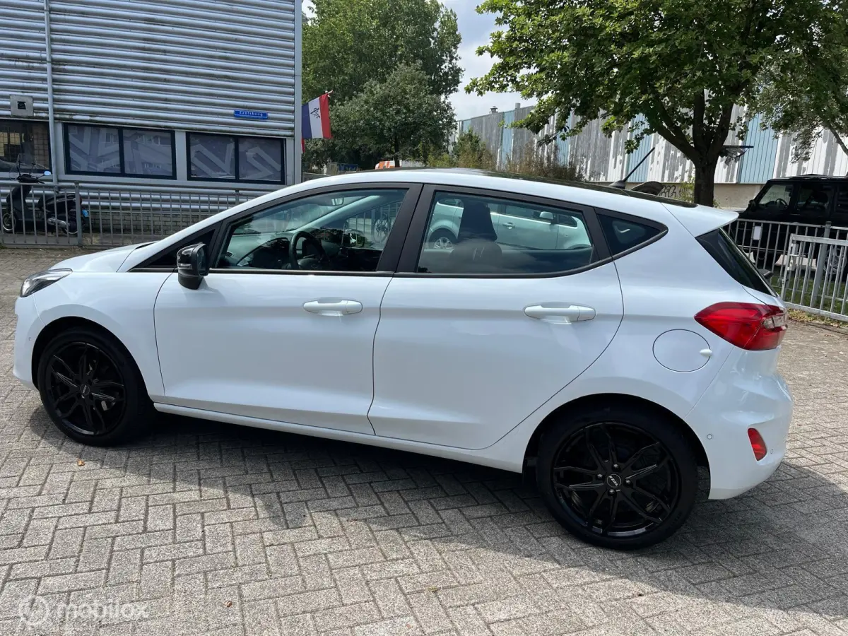 1.1 Black & White Edition
