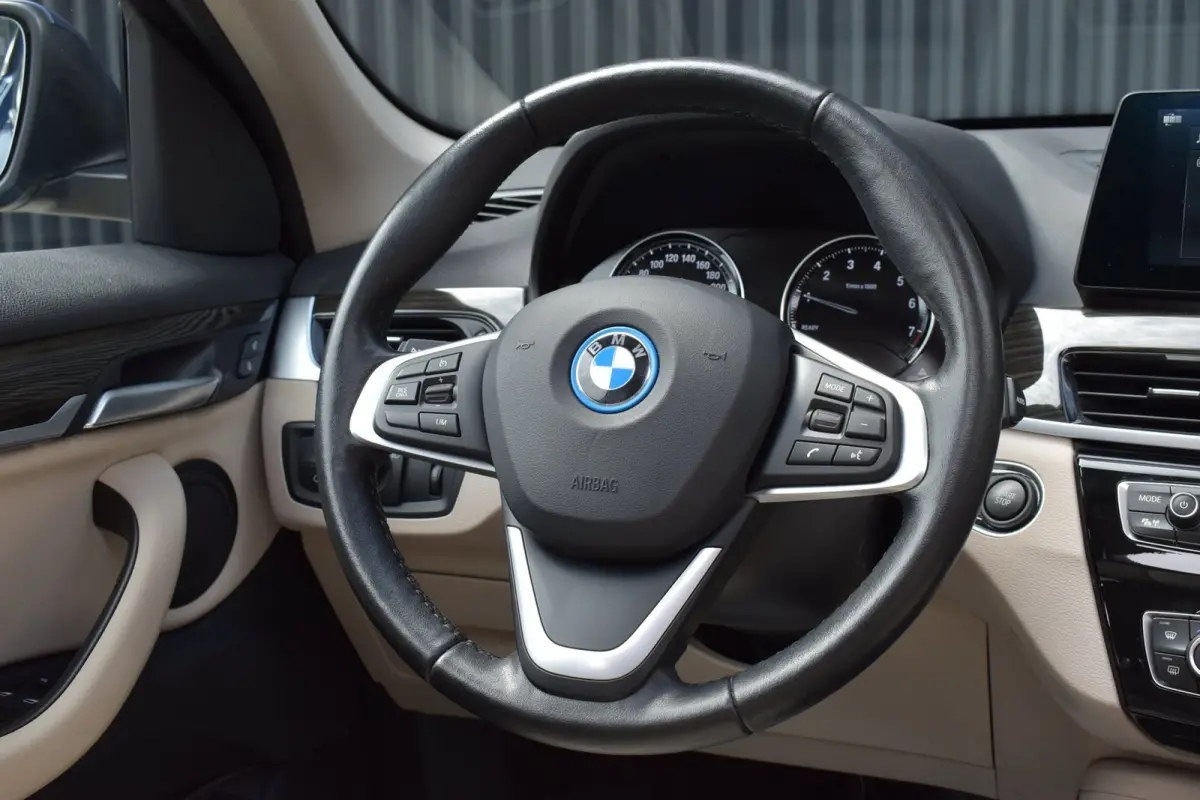 XDrive25e High Executive | PANO | 1E EIG | DEALER | LEDER | CAMERA | NAVI PROF | SPORTSTOELEN