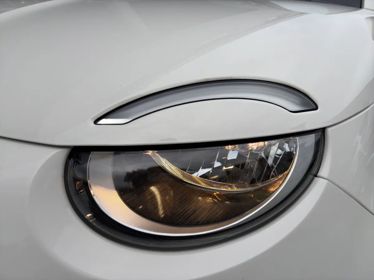 Icon 118pk 42 kWh | SOH 93% |  Navigatie | Climate control | Bluetooth | LM Velgen | Cruise control | Regensensor | Verkeersborddetectie |
