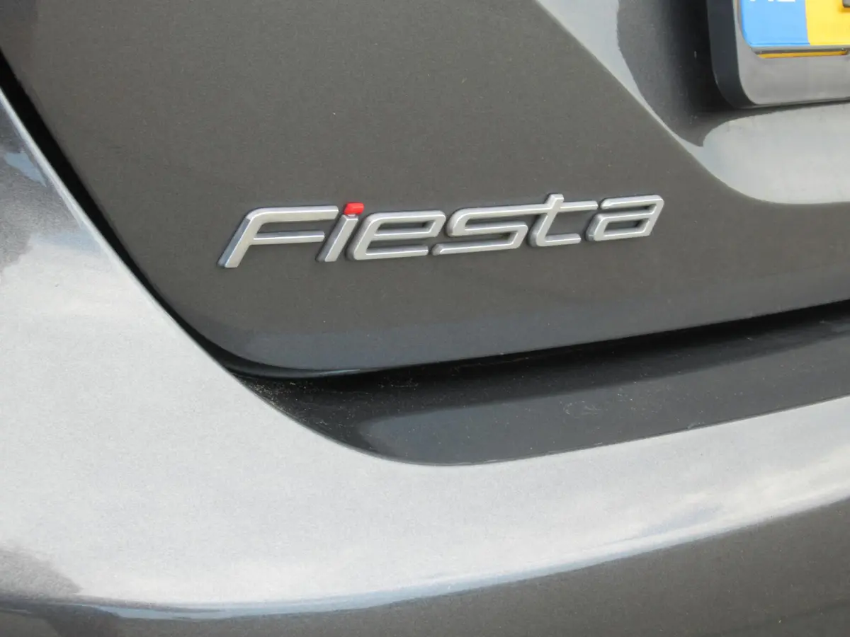1.0 EcoBoost Titanium | Adaptive Cruise | B&O | Camera | PDC voor en achter