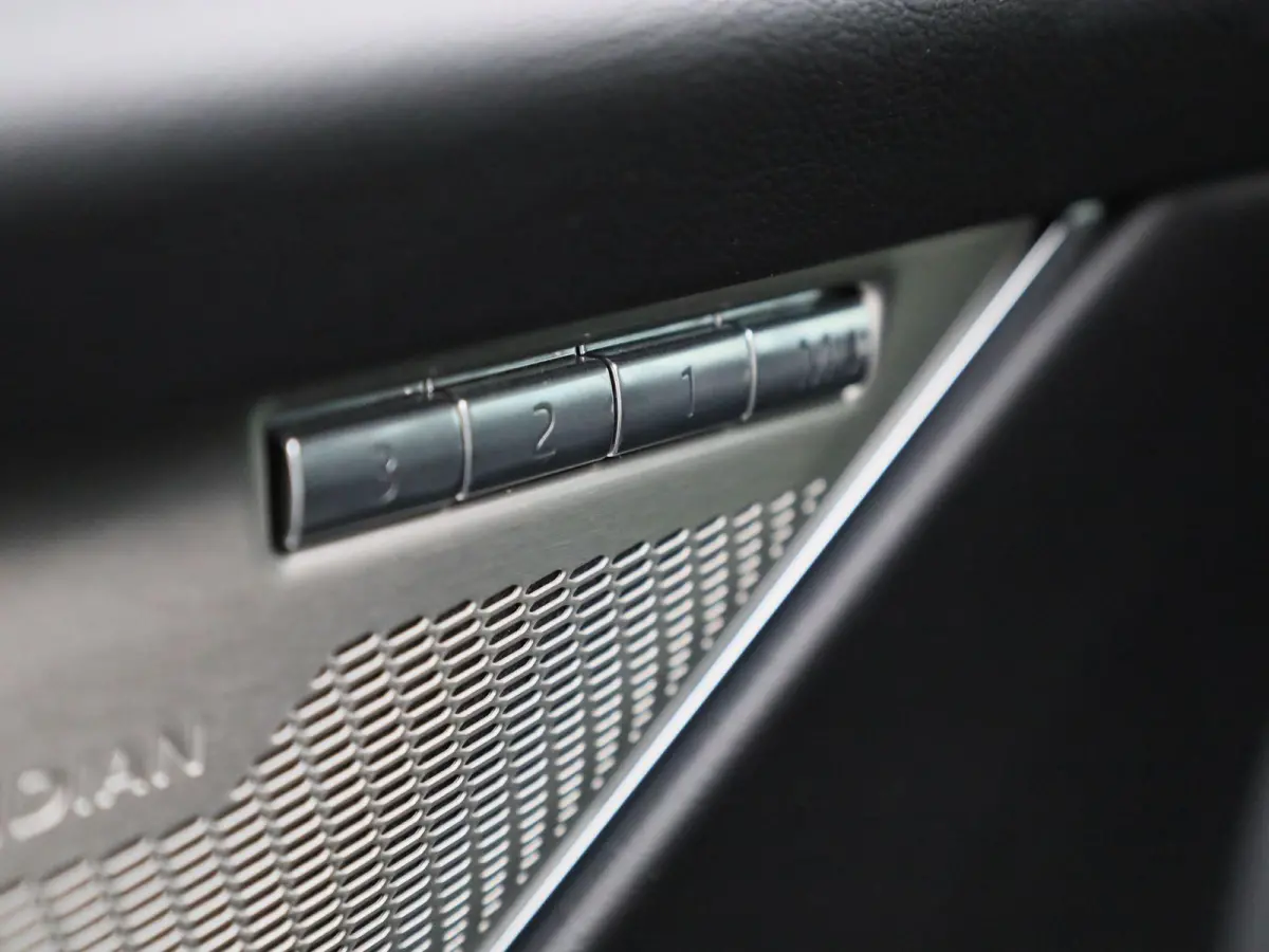 2.0 P250 R-Dynamic SE | LEER | MERIDIAN AUDIO | CAMERA | NAVIGATIE