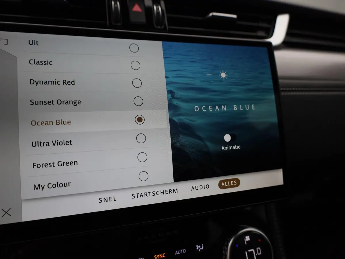 2.0 P250 R-Dynamic SE | LEER | MERIDIAN AUDIO | CAMERA | NAVIGATIE