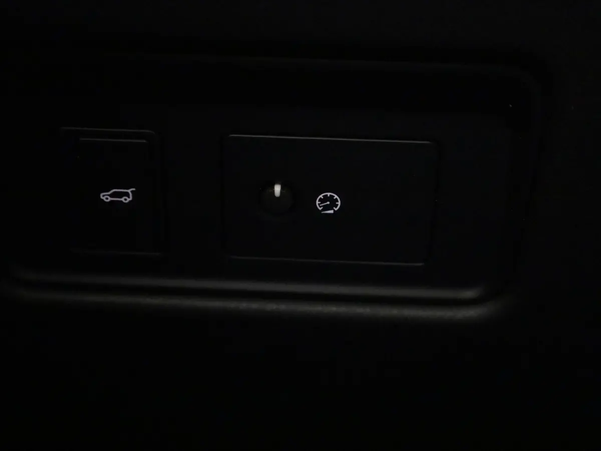 2.0 P250 R-Dynamic SE | LEER | MERIDIAN AUDIO | CAMERA | NAVIGATIE