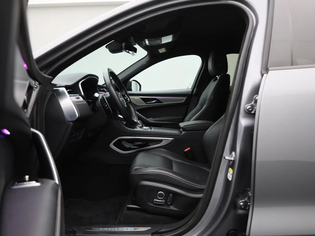 2.0 P250 R-Dynamic SE | LEER | MERIDIAN AUDIO | CAMERA | NAVIGATIE