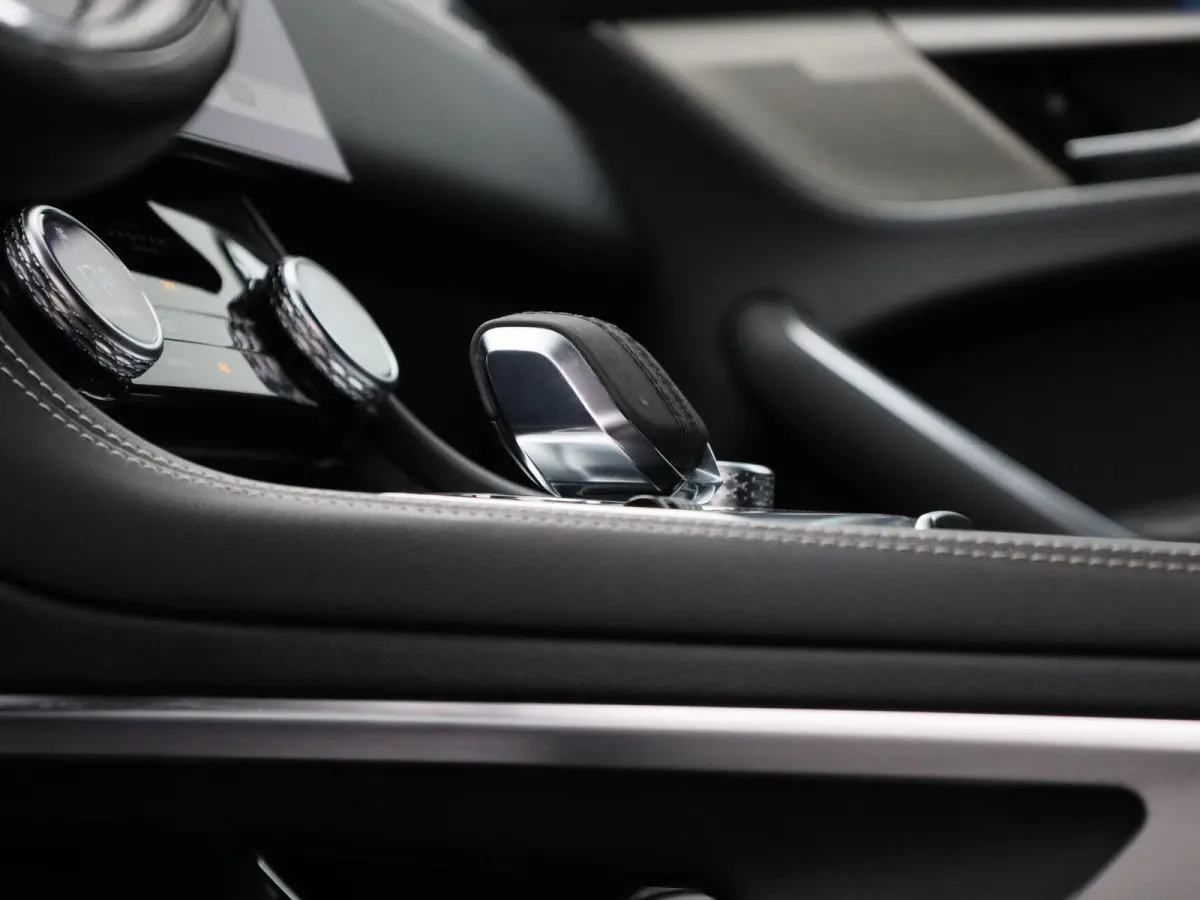 2.0 P250 R-Dynamic SE | LEER | MERIDIAN AUDIO | CAMERA | NAVIGATIE