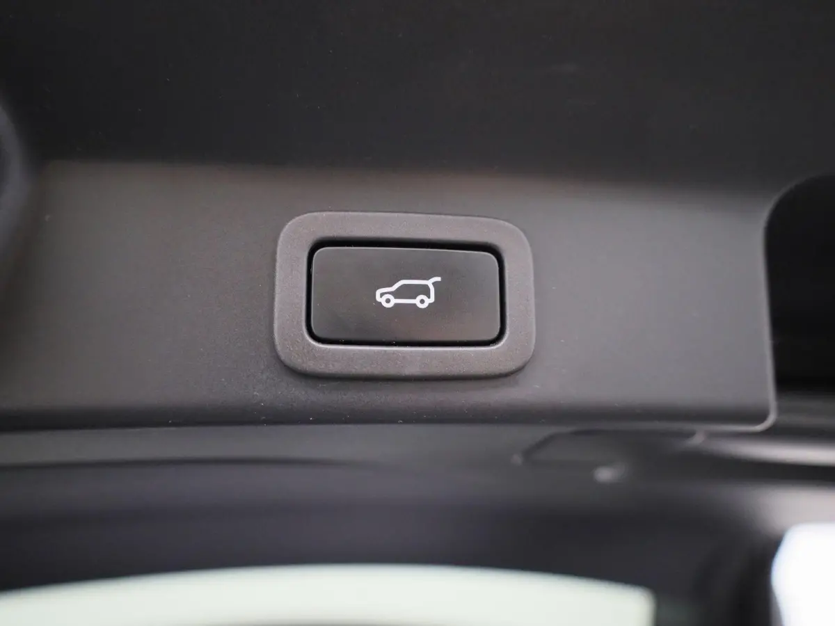 2.0 P250 R-Dynamic SE | LEER | MERIDIAN AUDIO | CAMERA | NAVIGATIE
