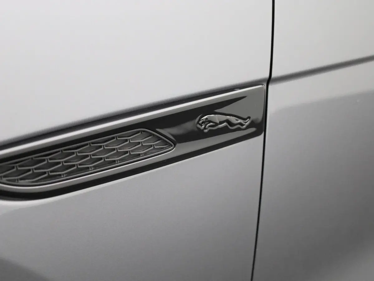 2.0 P250 R-Dynamic SE | LEER | MERIDIAN AUDIO | CAMERA | NAVIGATIE