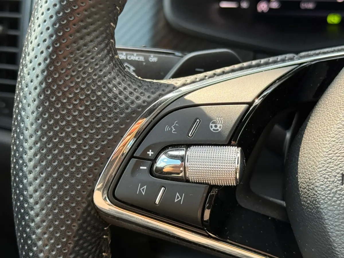 1.5 TSI DSG Sportline Memory|Carplay|Camera|Dealer Onderhouden
