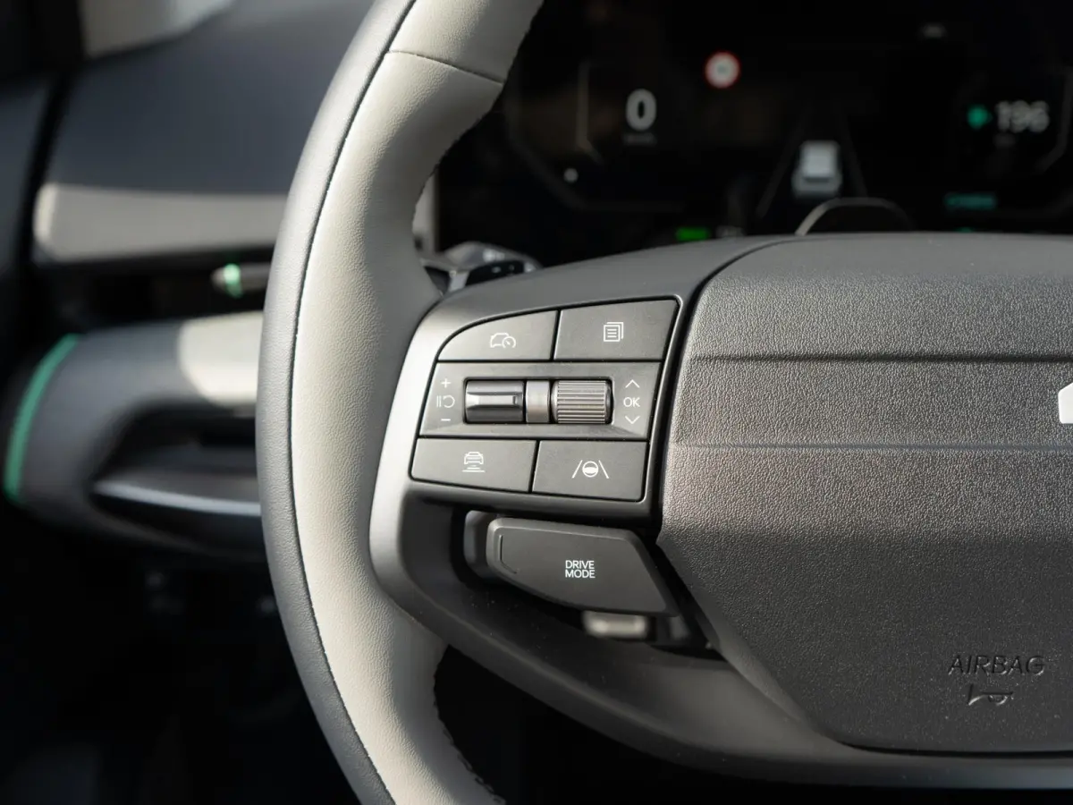 Plus Advanced 81.4 kWh | Navigatie | Stoel en stuurverwarming | Schuifkantel dak |
