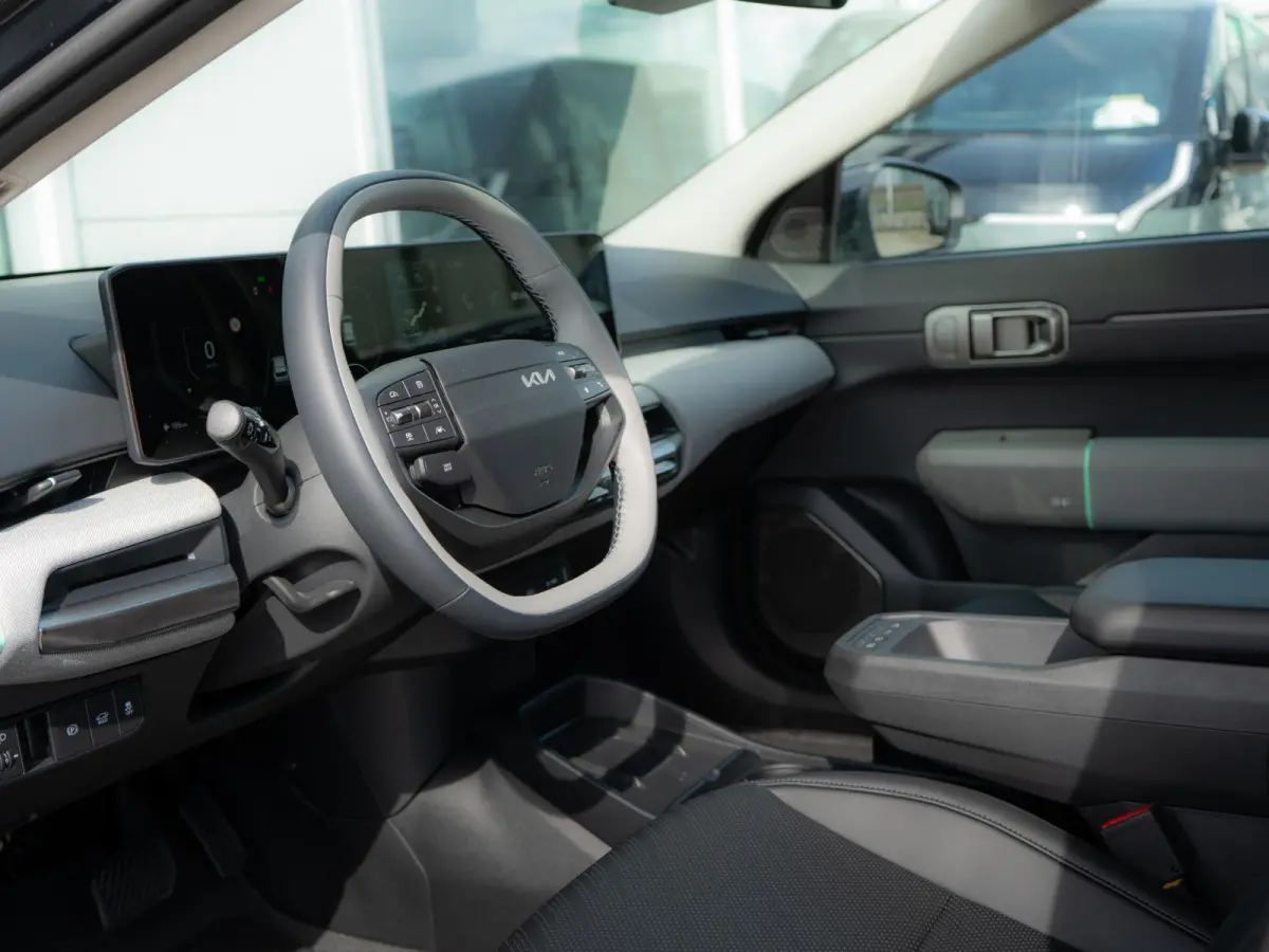 Plus Advanced 81.4 kWh | Navigatie | Stoel en stuurverwarming | Schuifkantel dak |
