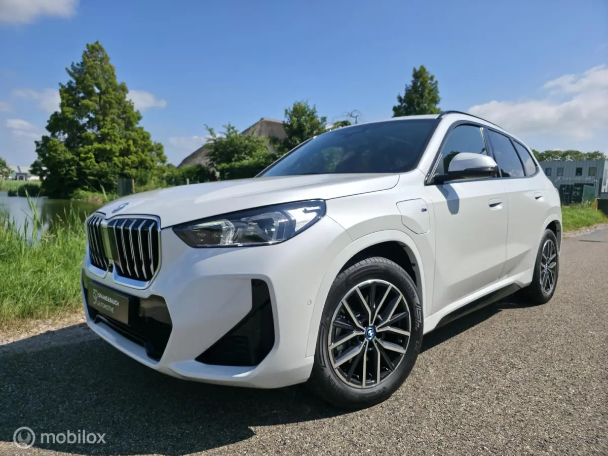 xDrive25e / M sport / Pano / 360' / Leder / Memory