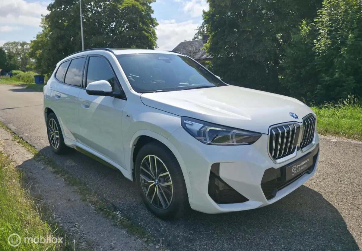xDrive25e / M sport / Pano / 360' / Leder / Memory