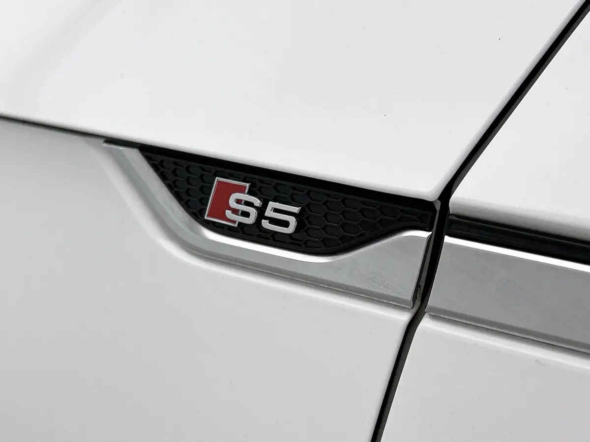3.0 TFSI S5 quattro Pro Line Plus (Goed OndH, Panorama, B&O, Trekhaak, Camera, Navi, Addapt Cruise, Etc)