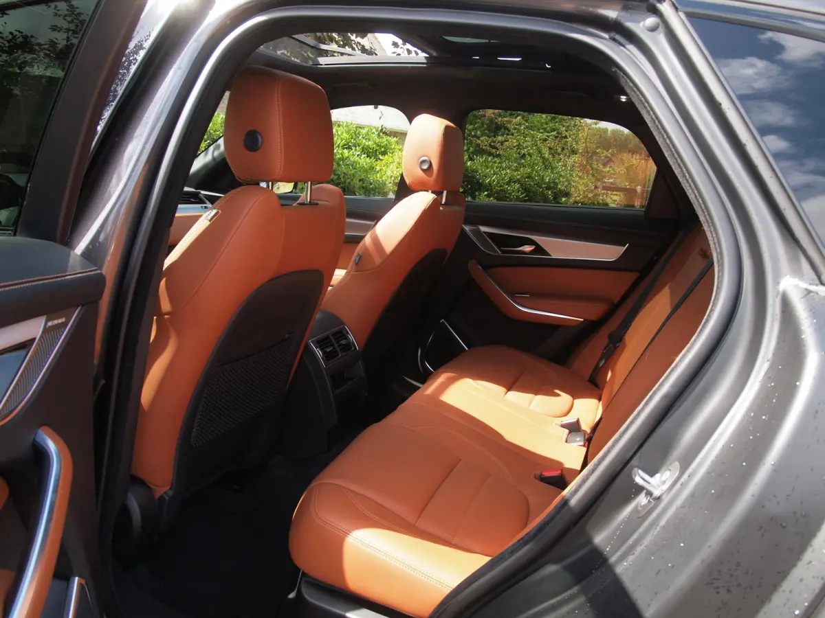 2.0 P400e PHEV SE R-Dynamic | Panoramadak | Camera | Meridian | Leer | NL-Auto |