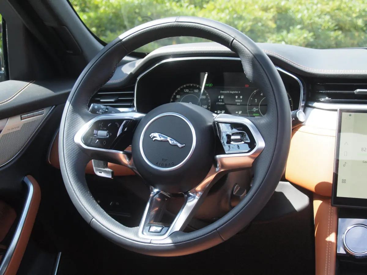 2.0 P400e PHEV SE R-Dynamic | Panoramadak | Camera | Meridian | Leer | NL-Auto |