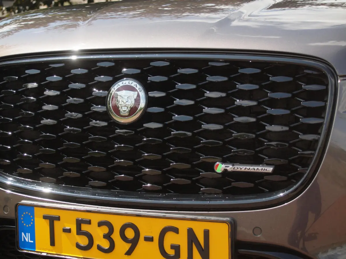 2.0 P400e PHEV SE R-Dynamic | Panoramadak | Camera | Meridian | Leer | NL-Auto |