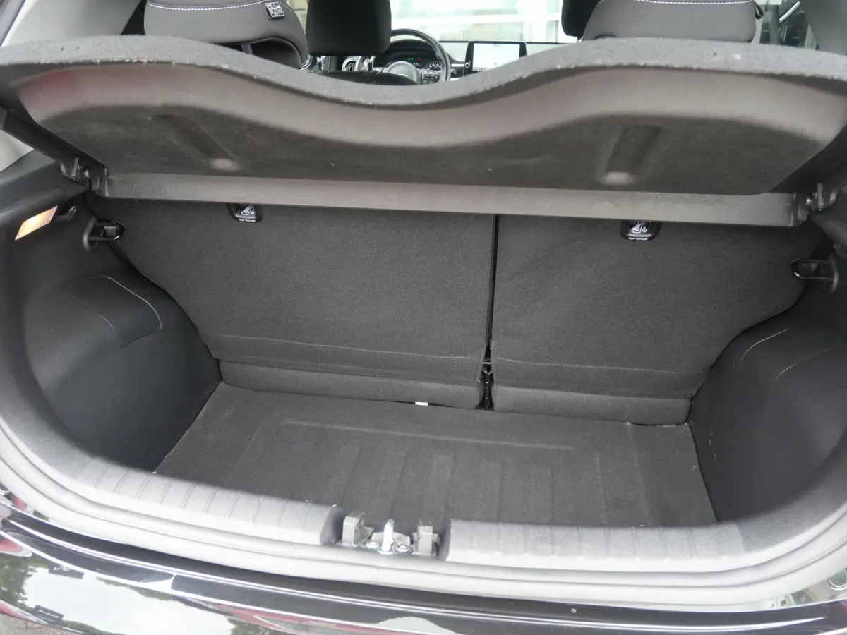 1.0 DPi DynamicPlusLine | Cruise | Clima | Carplay | keyless | Navi |