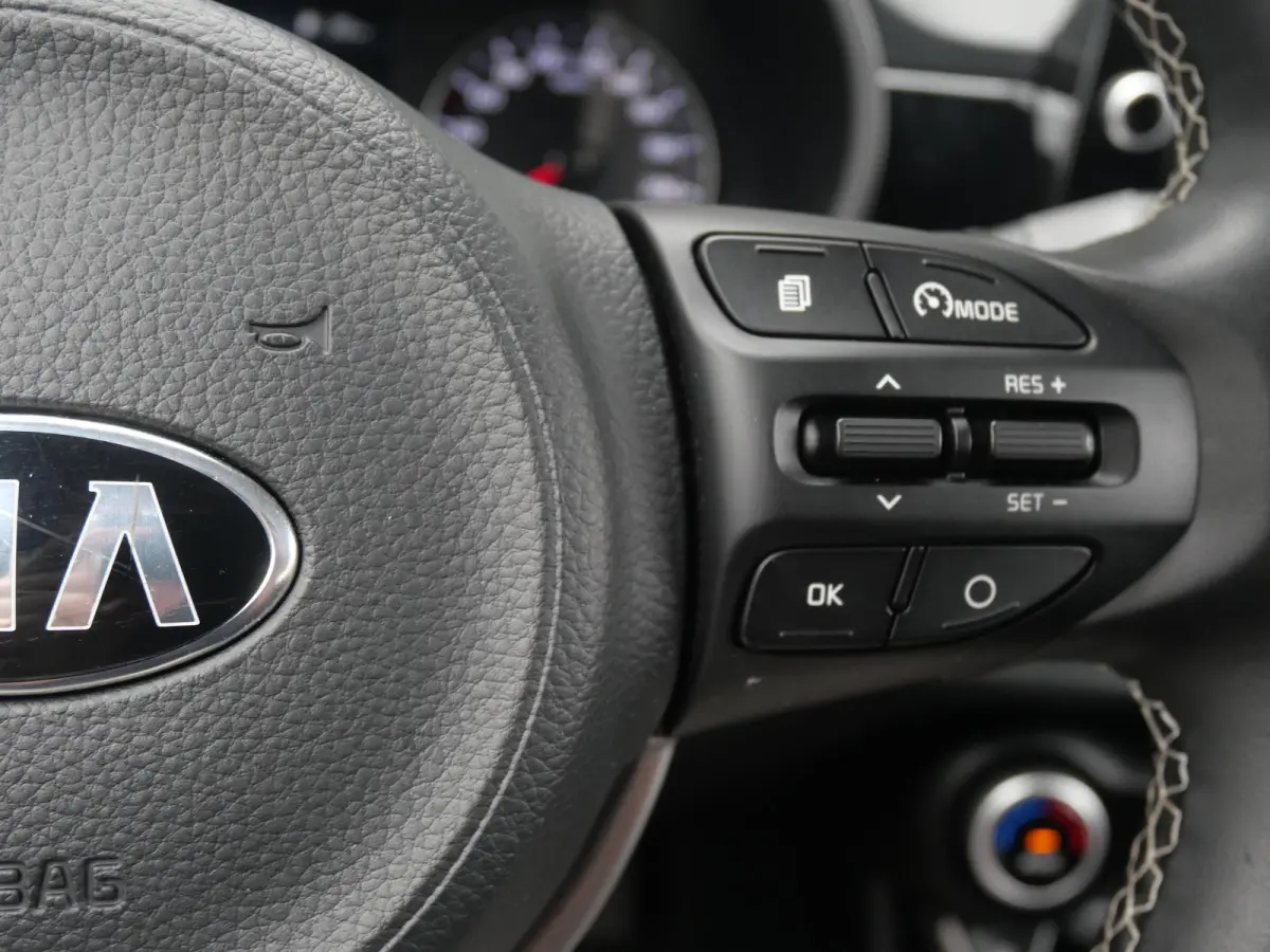 1.0 DPi DynamicPlusLine | Cruise | Clima | Carplay | keyless | Navi |