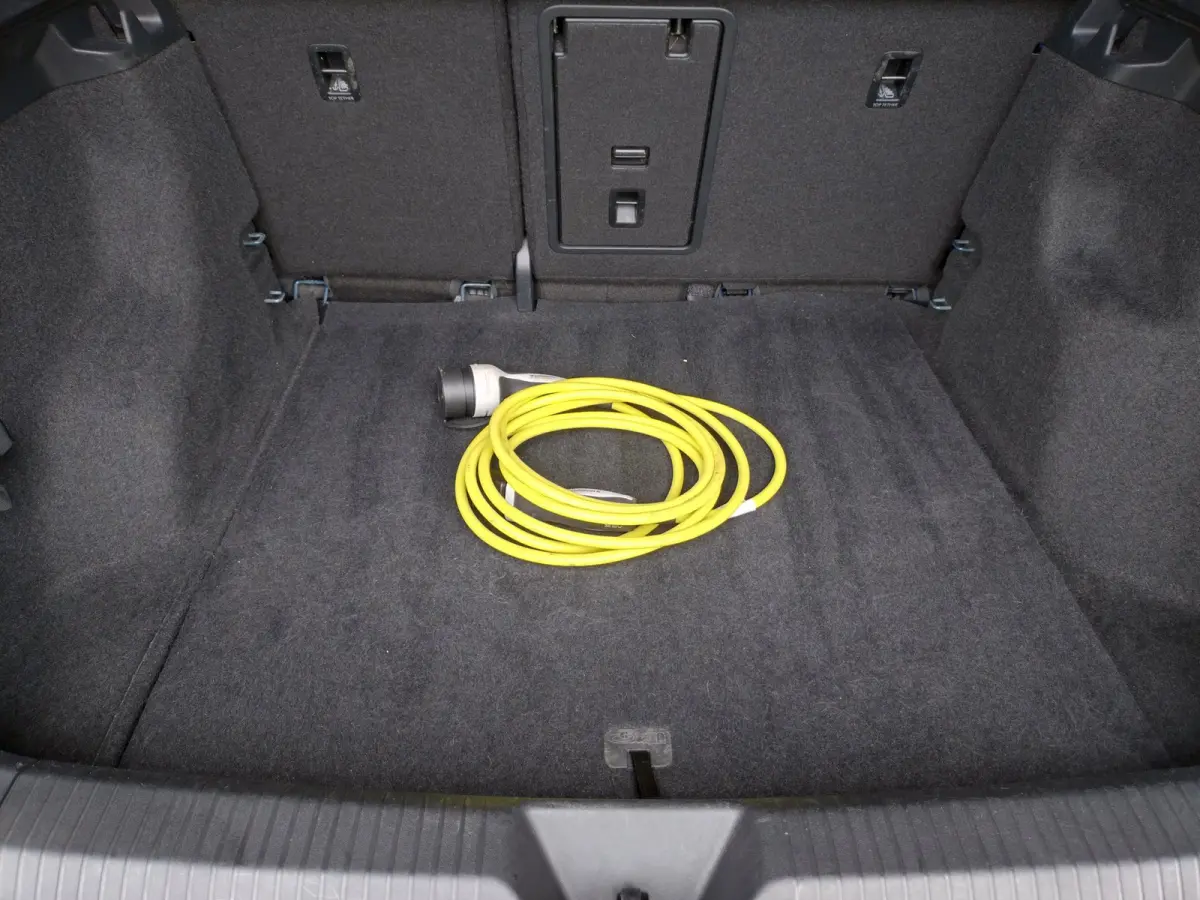 First Edition 77 kWh SOH 90,13 %