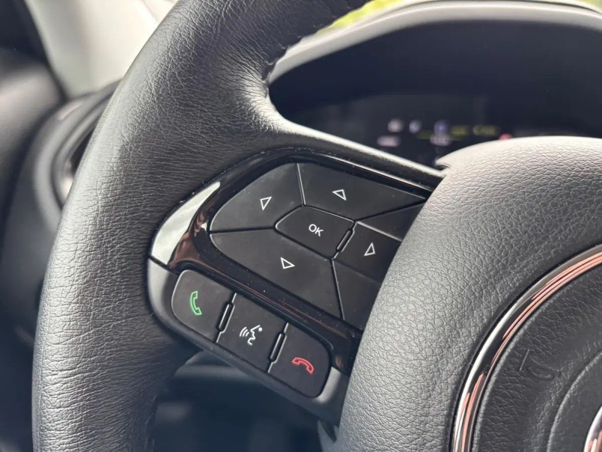 4xe 240 Plug-in Hybrid Electric S ✅ ACC ✅ CarPlay ✅ Camera