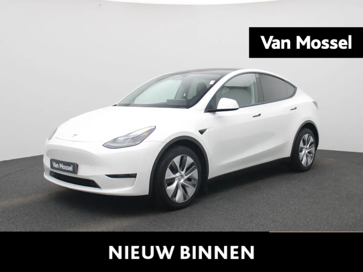 Long Range Dual Motor AWD | Lederen Bekleding | Privacy Glass | Panoramadak | LED Koplampen | Elektrische Kofferklep |