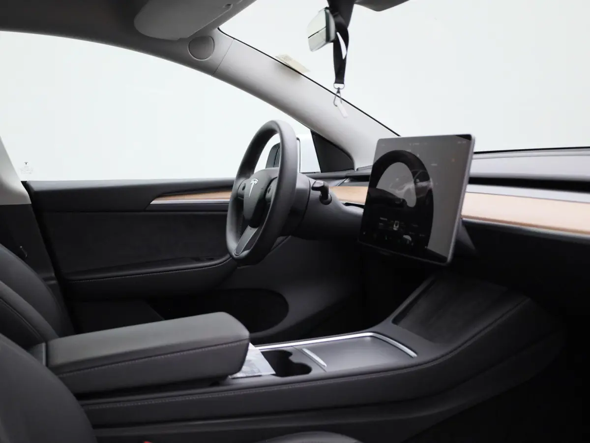 Long Range Dual Motor AWD | Lederen Bekleding | Privacy Glass | Panoramadak | LED Koplampen | Elektrische Kofferklep |
