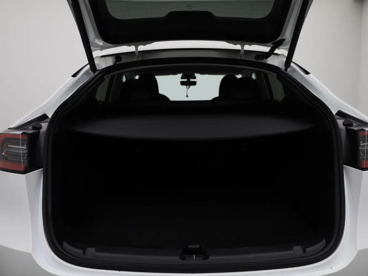 Long Range Dual Motor AWD | Lederen Bekleding | Privacy Glass | Panoramadak | LED Koplampen | Elektrische Kofferklep |