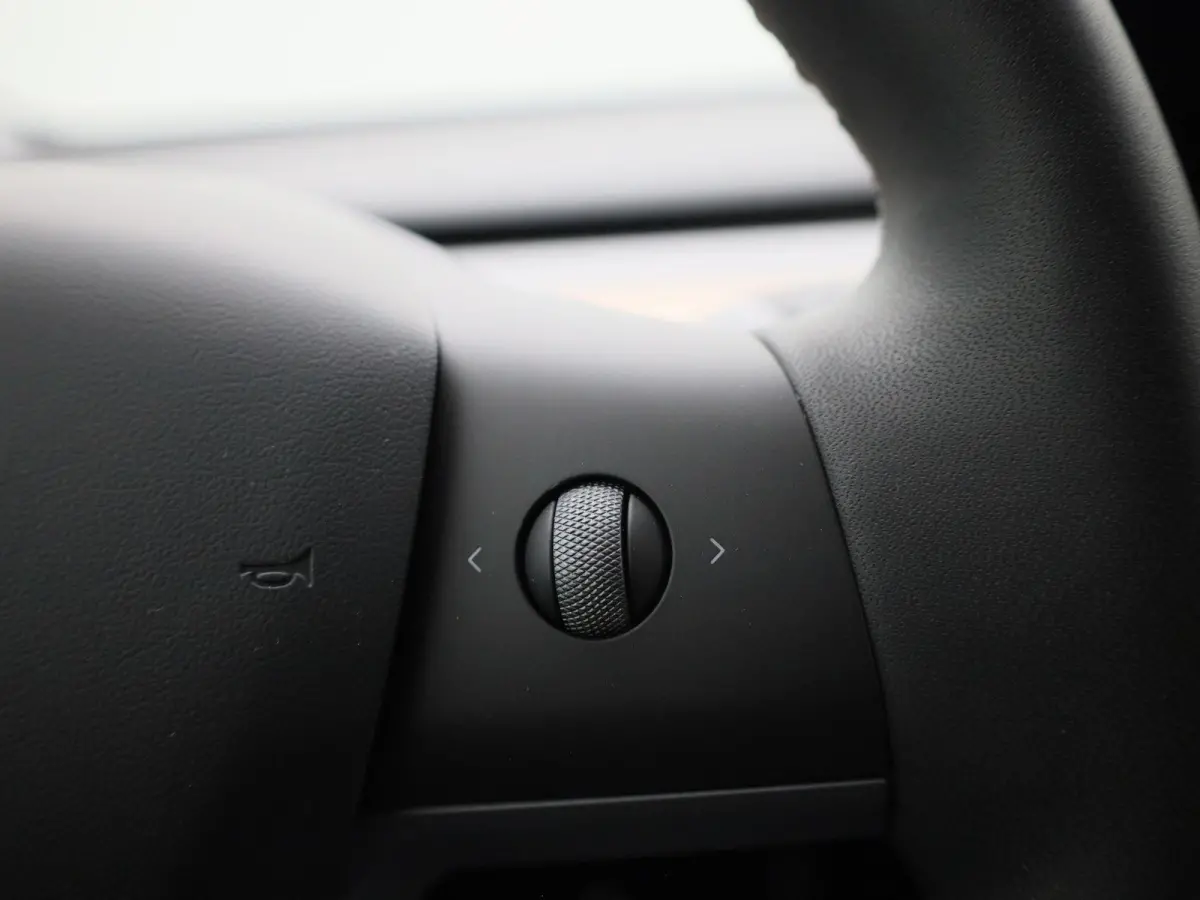 Long Range Dual Motor AWD | Lederen Bekleding | Privacy Glass | Panoramadak | LED Koplampen | Elektrische Kofferklep |