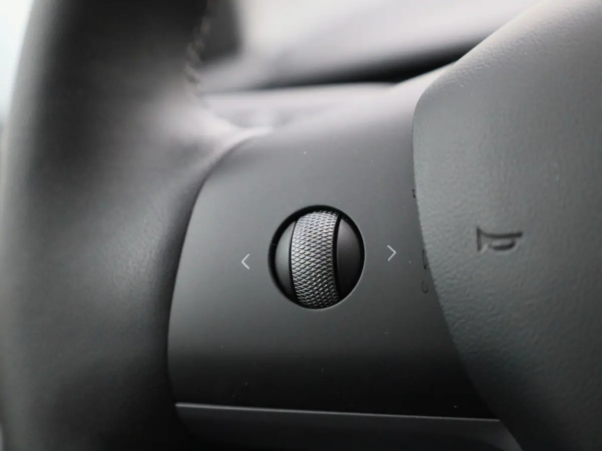 Long Range Dual Motor AWD | Lederen Bekleding | Privacy Glass | Panoramadak | LED Koplampen | Elektrische Kofferklep |